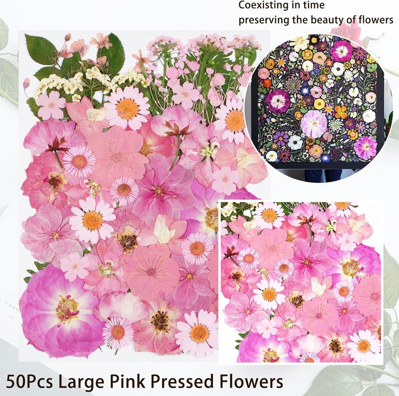 Xinxinran 50Pcs Large Pink Dried Pressed Flowers for Crafts, Dry Flowers Kit for Resin Molds,Epoxy Resin Accessories,Bookmark,Nails, Jewelry Molds,Candle Making Supplies,Soap,Frame,Cakes - Image 4